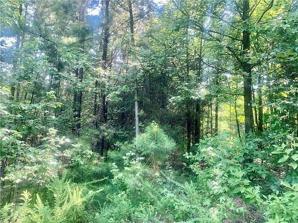 7.8 Acres of Residential Land for Sale in Dover, Arkansas