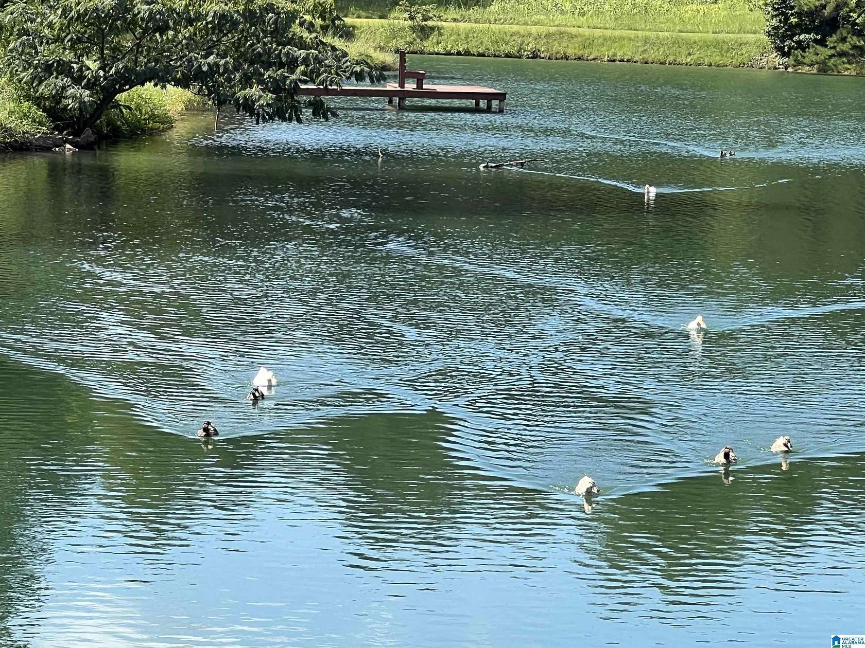 1.15 Acres of Residential Land for Sale in Springville, Alabama