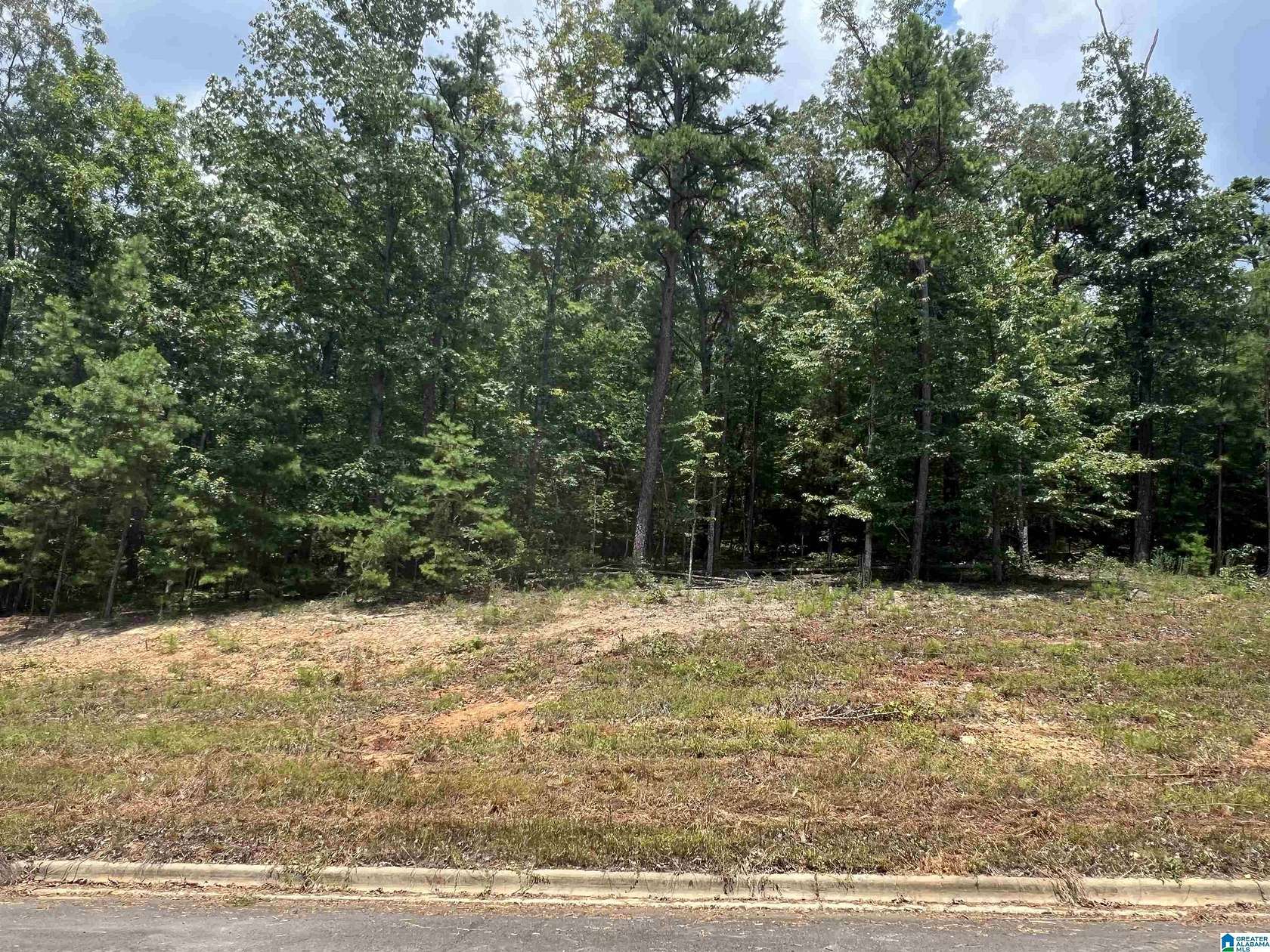 1.15 Acres of Residential Land for Sale in Springville, Alabama