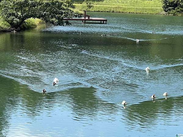 1.15 Acres of Residential Land for Sale in Springville, Alabama