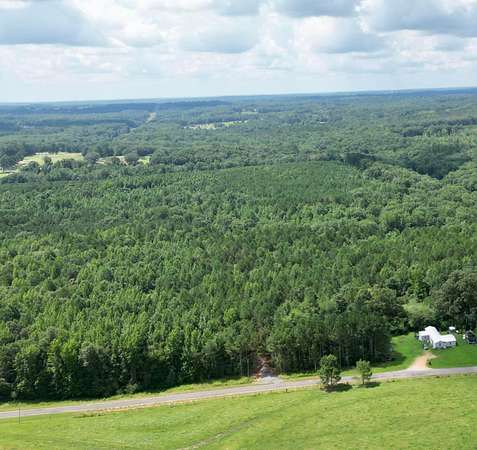 20 Acres of Recreational Land for Sale in Haleyville, Alabama