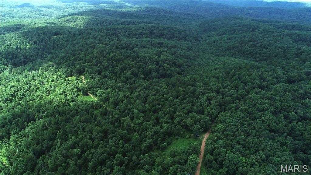 19.9 Acres of Recreational Land & Farm for Sale in Womack, Missouri