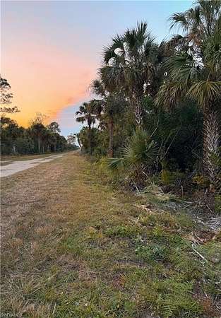 5 Acres of Residential Land for Sale in Naples, Florida