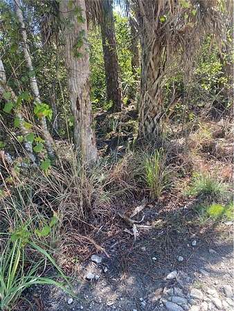 5 Acres of Residential Land for Sale in Naples, Florida