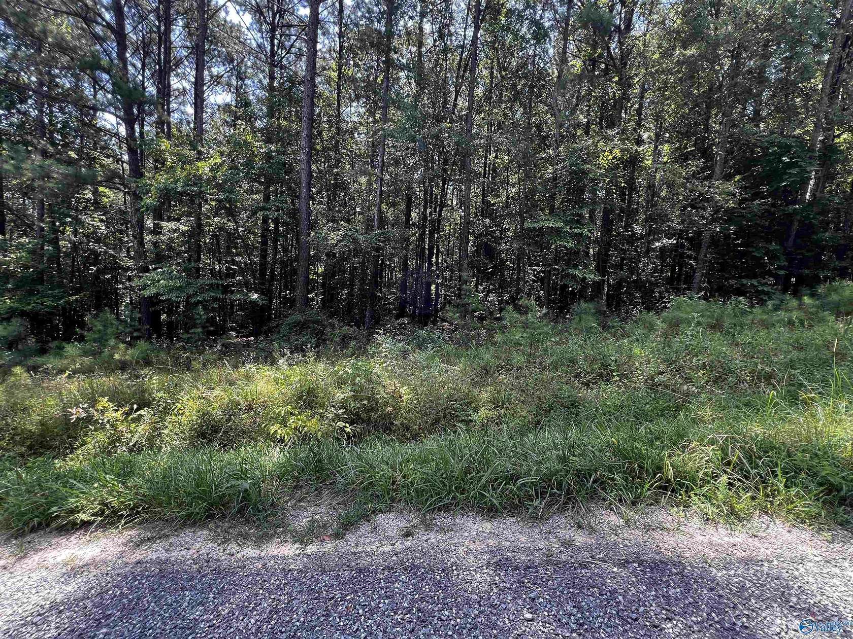0.69 Acres of Land for Sale in Leesburg, Alabama