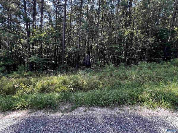 0.69 Acres of Land for Sale in Leesburg, Alabama