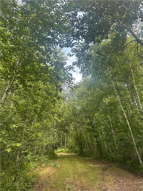 80 Acres of Recreational Land for Sale in Emily, Minnesota