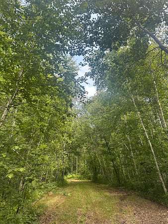 80 Acres of Recreational & Residential Land for Sale in Emily, Minnesota