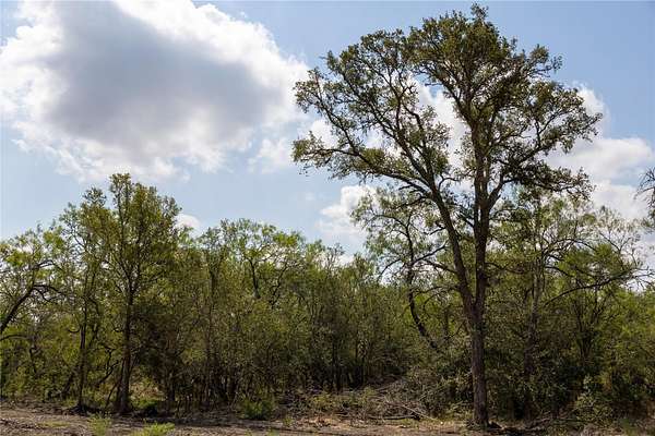 1 Acre of Residential Land for Sale in Lockhart, Texas