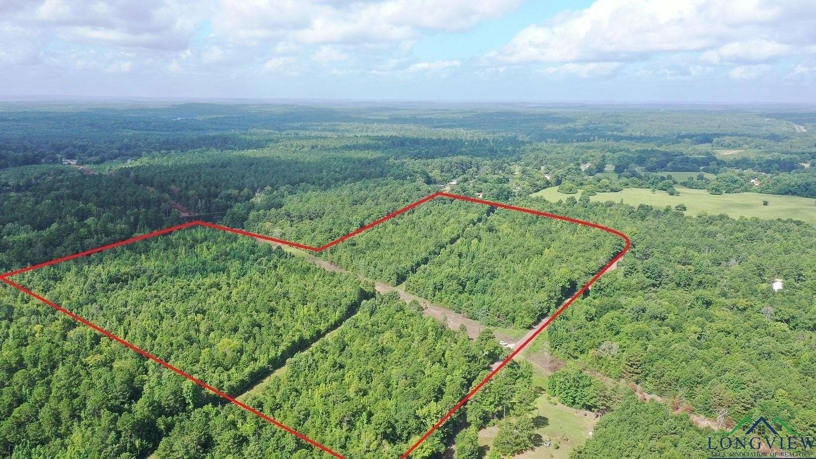 48.7 Acres of Recreational Land for Sale in Avinger, Texas