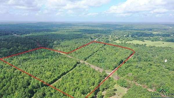 48.7 Acres of Recreational Land for Sale in Avinger, Texas