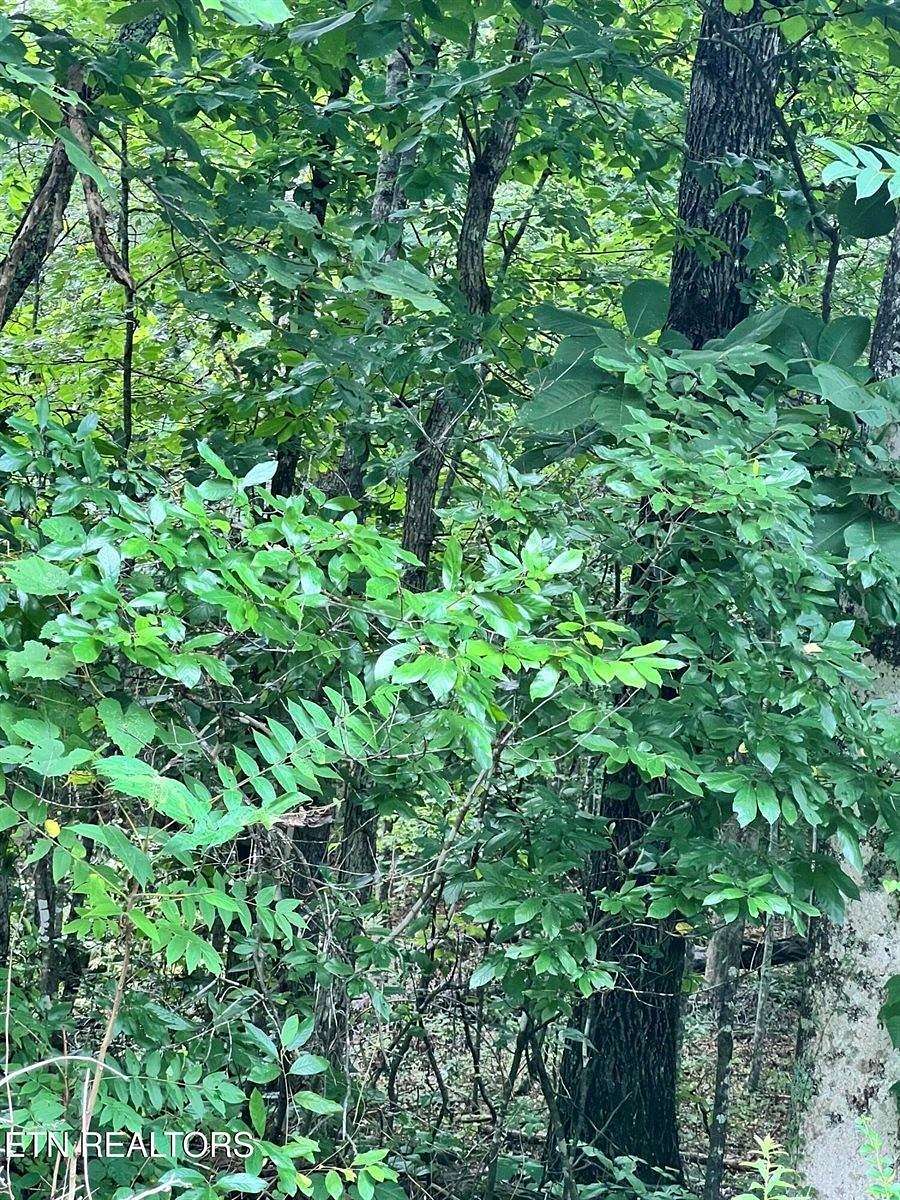 1.39 Acres of Land for Sale in Decatur, Tennessee