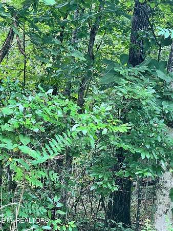 1.39 Acres of Land for Sale in Decatur, Tennessee