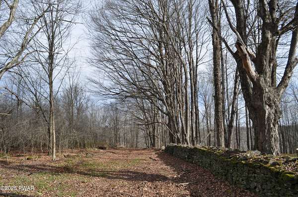 30 Acres of Recreational Land & Farm for Sale in Honesdale, Pennsylvania