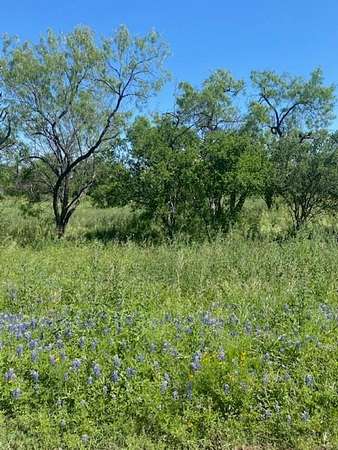 0.24 Acres of Residential Land for Sale in Horseshoe Bay, Texas