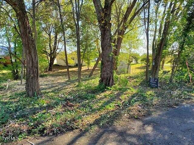 0.1 Acres of Land for Sale in Mosheim, Tennessee