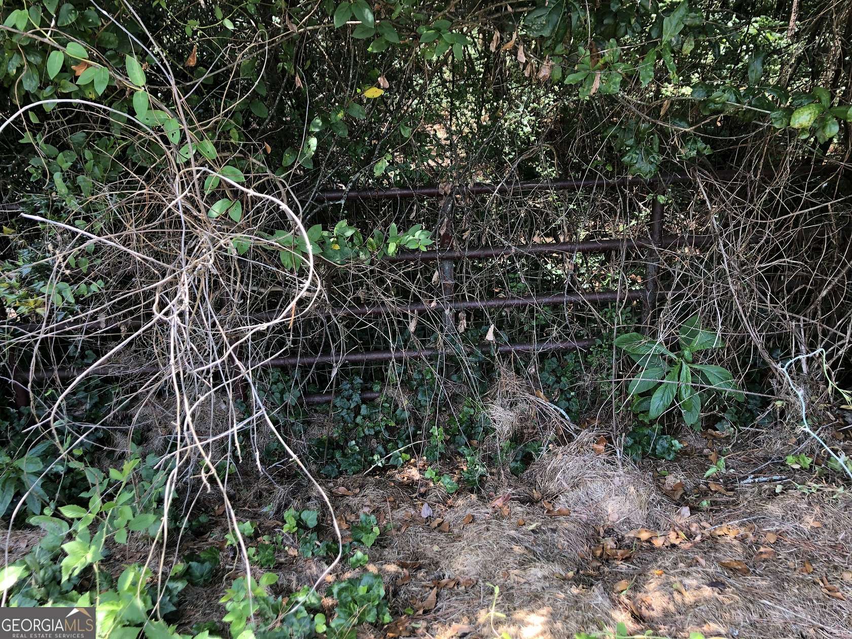 1.63 Acres of Residential Land for Sale in Toccoa, Georgia