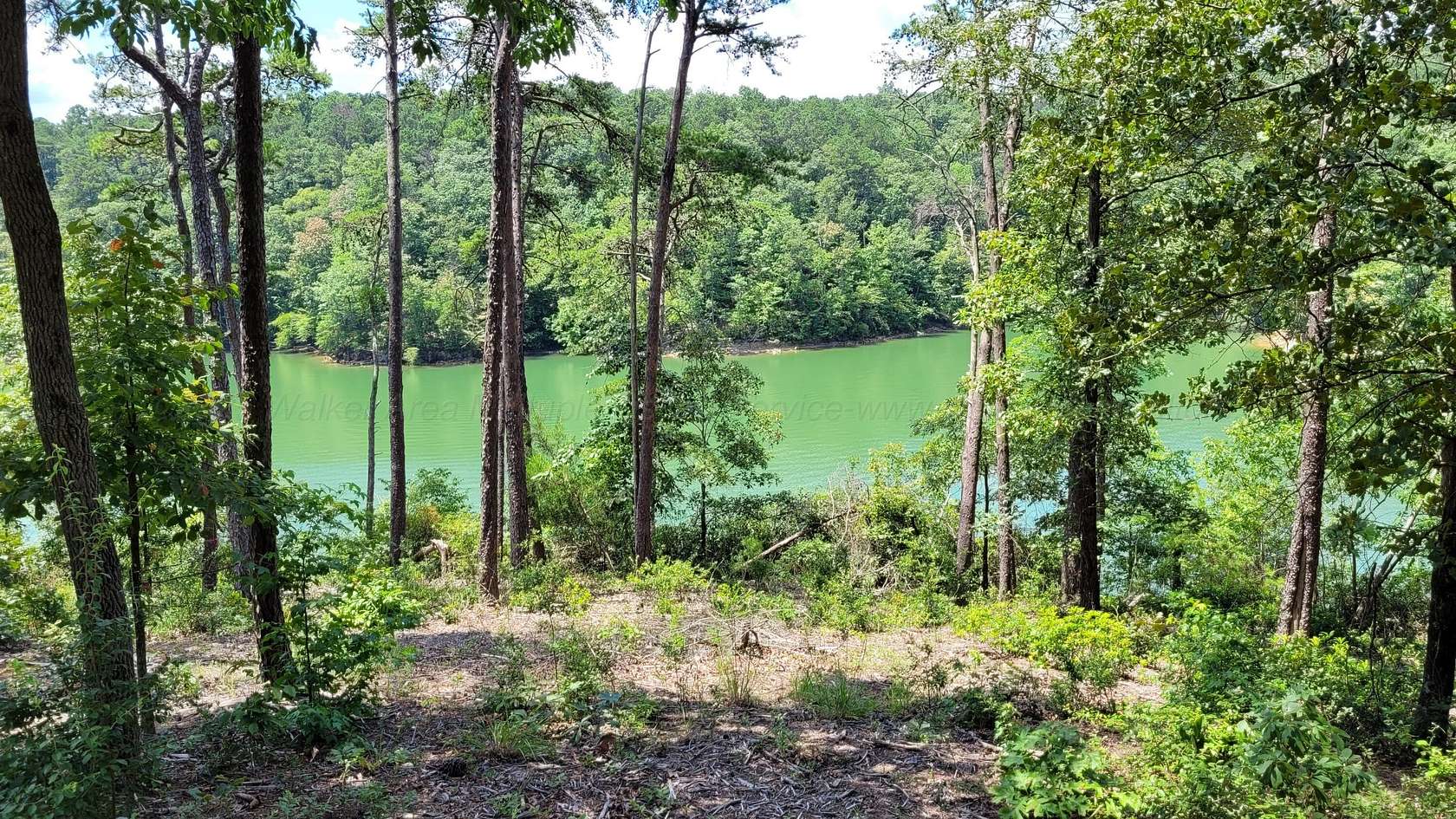 1.7 Acres of Residential Land for Sale in Jasper, Alabama