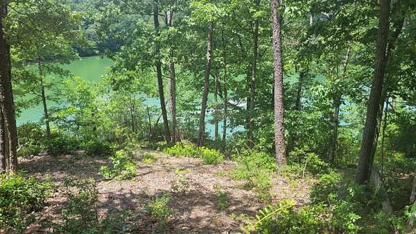 1.7 Acres of Residential Land for Sale in Jasper, Alabama