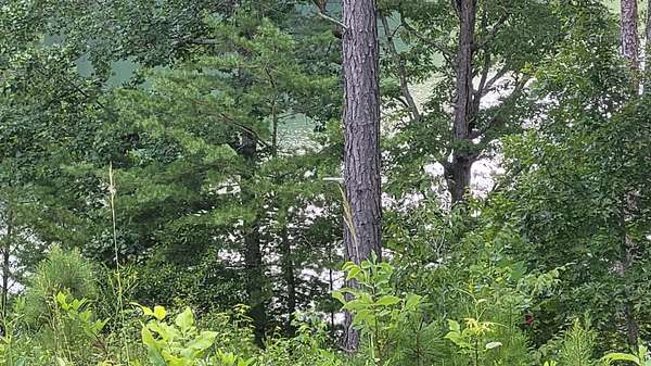 1 Acre of Land for Sale in Jasper, Alabama