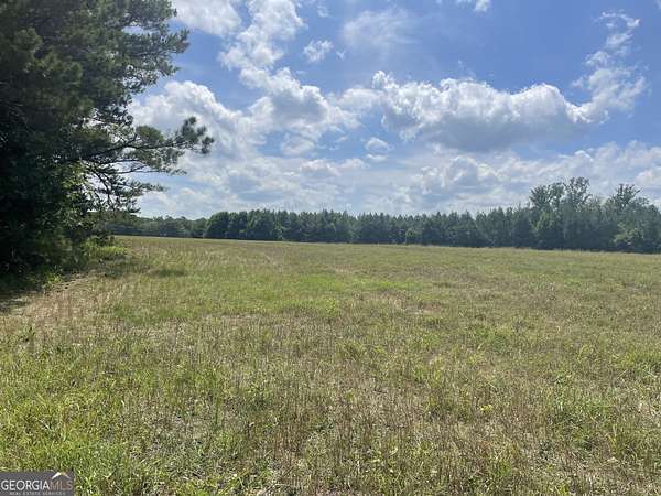 151 Acres of Recreational Land for Sale in Sharpsburg, Georgia