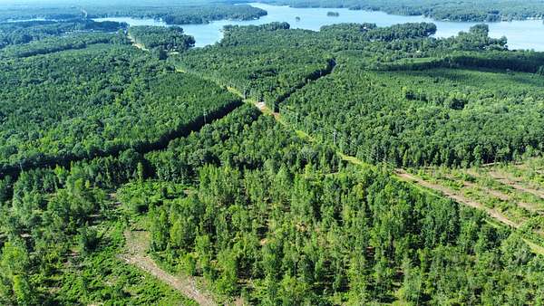 13 Acres of Recreational Land for Sale in Salem, Alabama