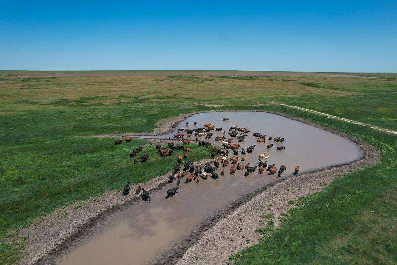 1,525 Acres of Agricultural Land for Sale in Kalvesta, Kansas