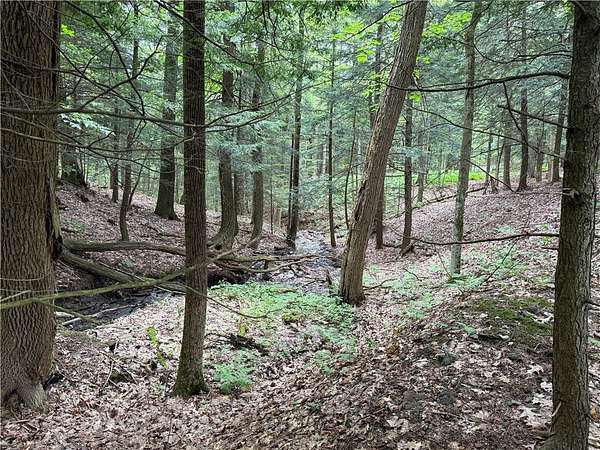 8 5 Acres of Recreational Land - Columbus Ny 144882805