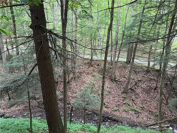 8 5 Acres of Recreational Land - Columbus Ny 144882810