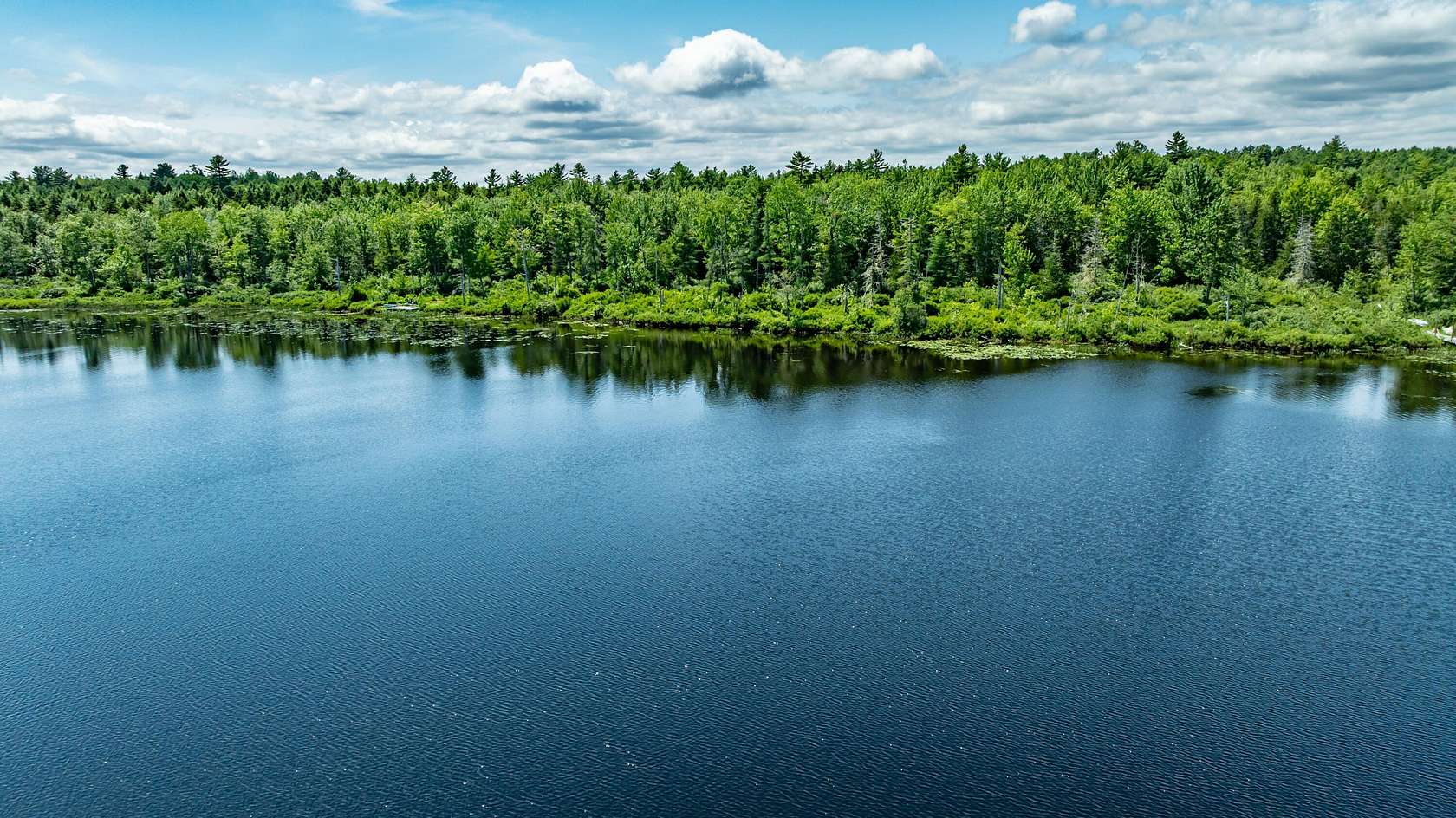 42.5 Acres of Recreational Land for Sale in Waltham, Maine