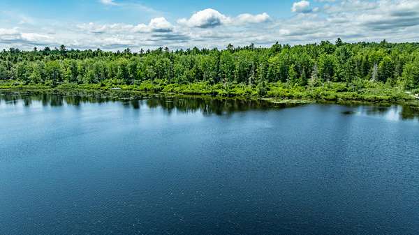 42.5 Acres of Recreational Land for Sale in Waltham, Maine