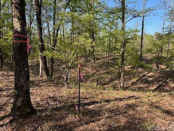 5 Acres of Land for Sale in Prattsville, Arkansas
