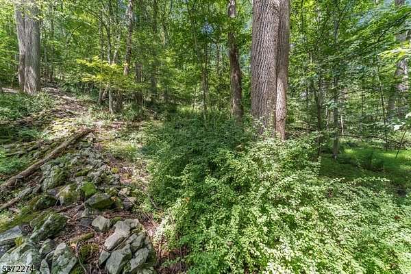 3.87 Acres of Land for Sale in Holland Township, New Jersey