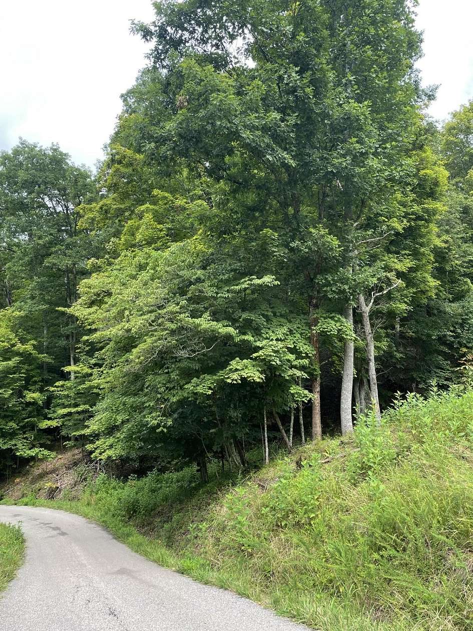 3 Acres of Residential Land for Sale in Lavalette, West Virginia