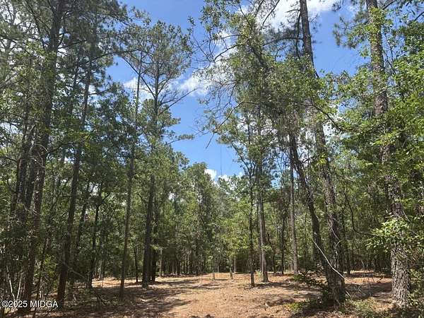 27 Acres of Recreational Land for Sale in Macon, Georgia