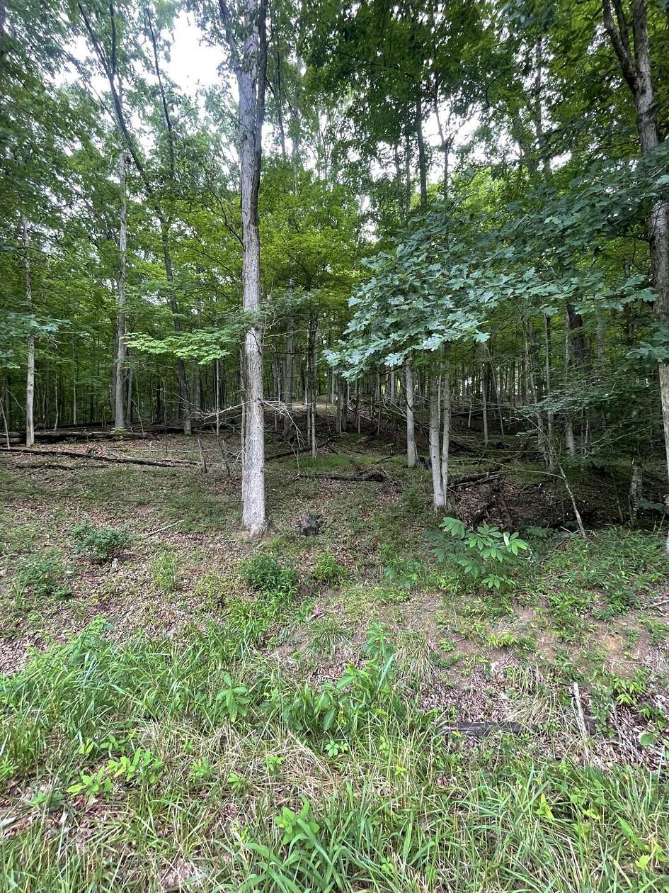 2 Acres of Residential Land for Sale in Lavalette, West Virginia