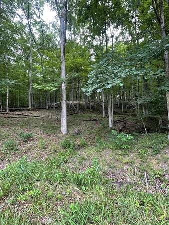 2 Acres of Residential Land for Sale in Lavalette, West Virginia