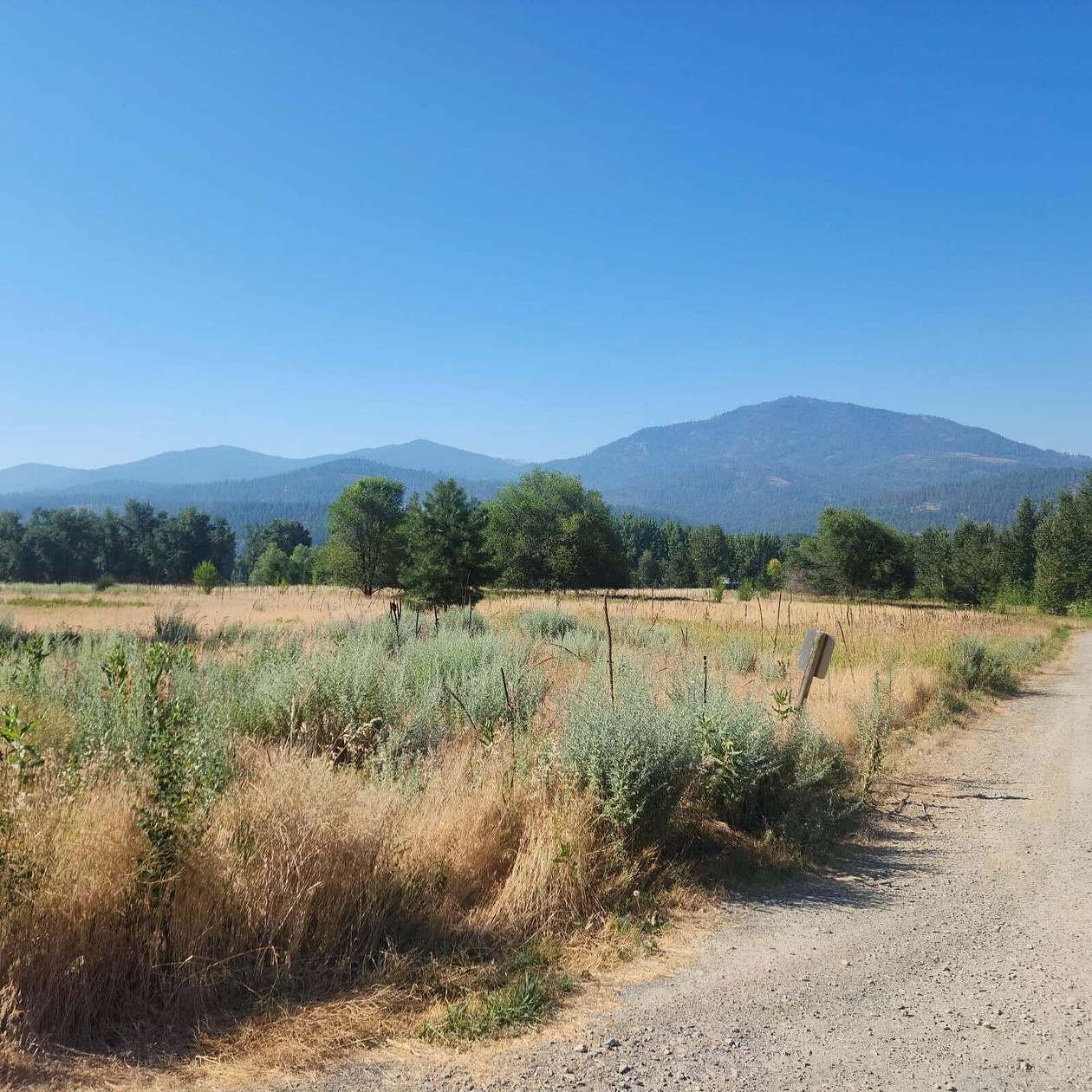 7.83 Acres of Land for Sale in Kettle Falls, Washington