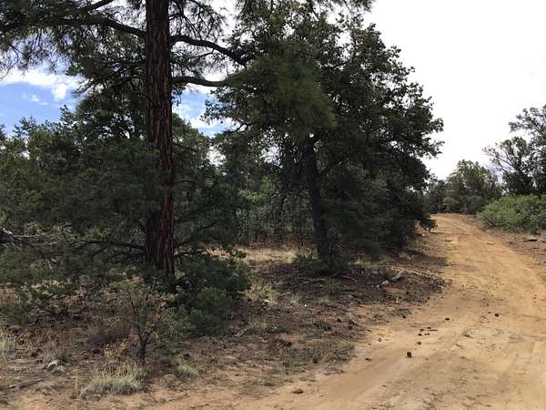 4.63 Acres of Residential Land for Sale in Ramah, New Mexico