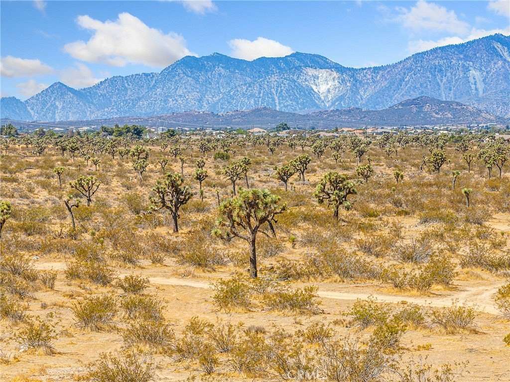 10 Acres of Land for Sale in Phelan, California