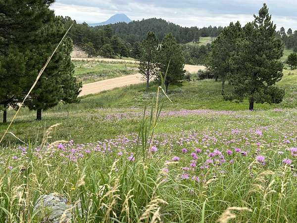 6 Acres of Residential Land for Sale in Whitewood, South Dakota