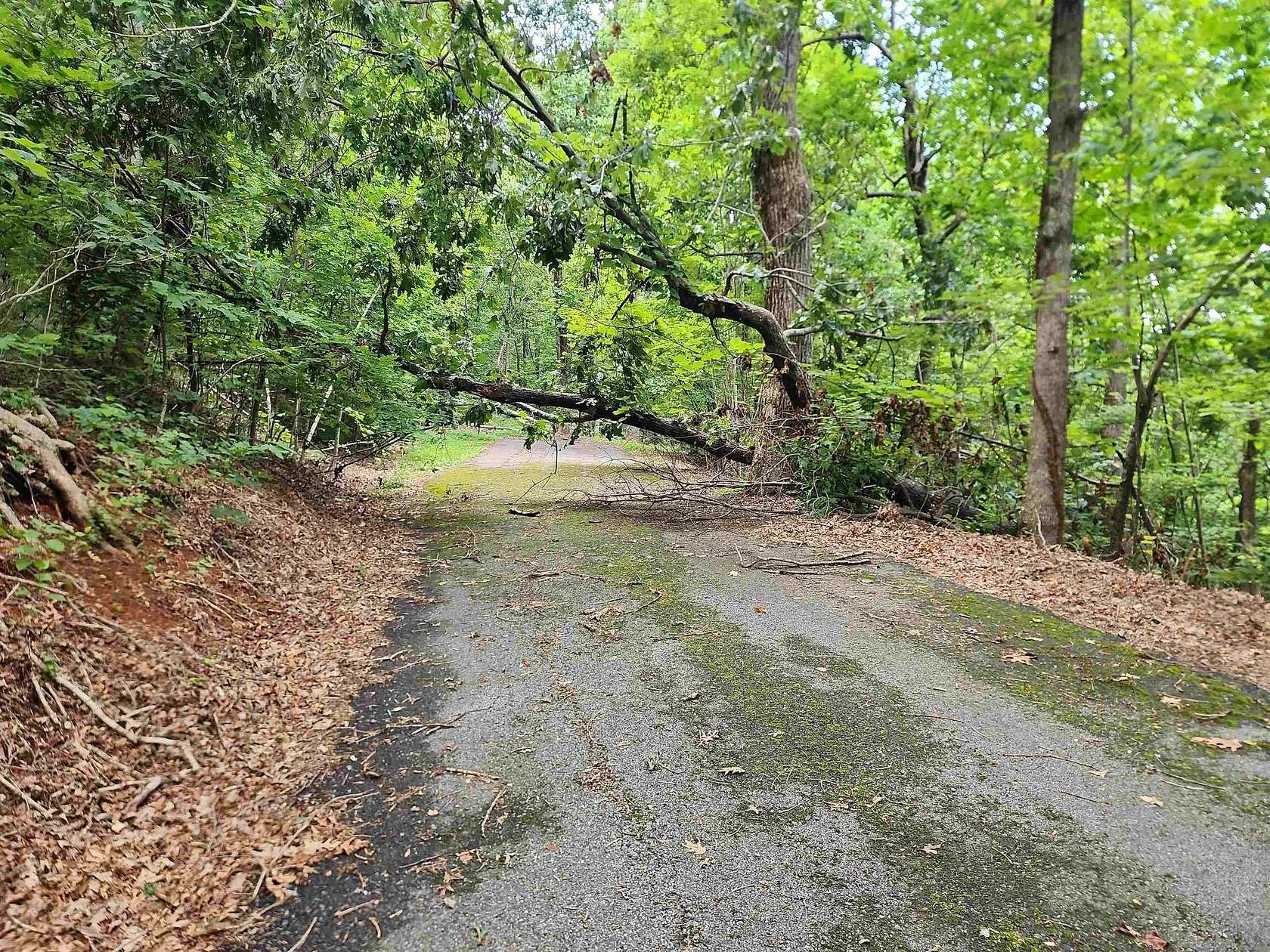 1.32 Acres of Land for Sale in Columbus, North Carolina