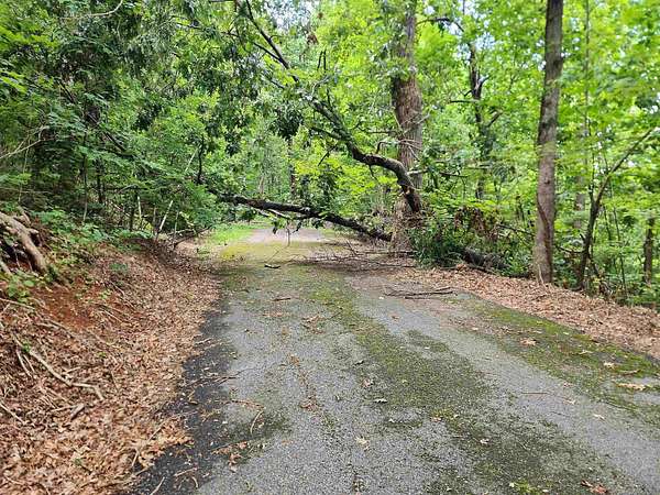 1.32 Acres of Residential Land for Sale in Columbus, North Carolina