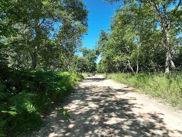 10 Acres of Recreational Land for Sale in Fife Lake, Michigan