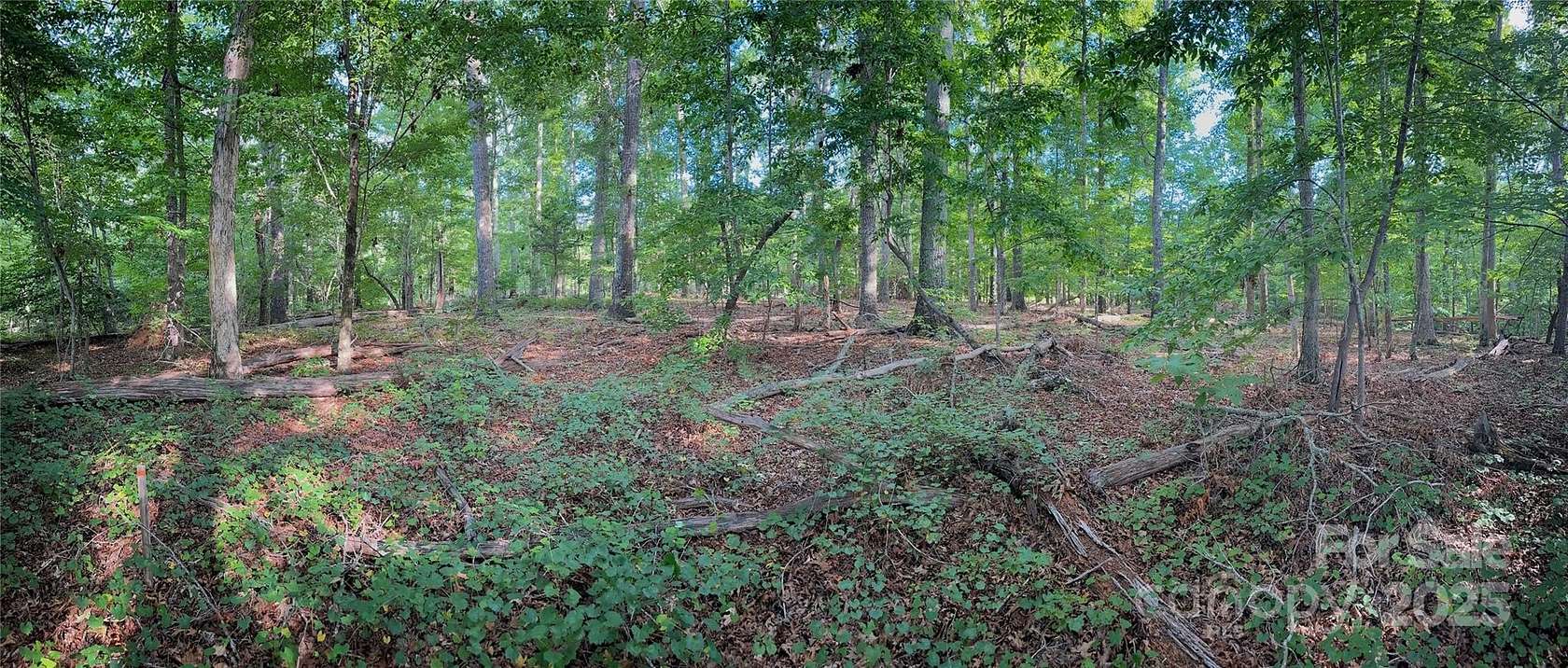 6.38 Acres of Agricultural Land for Sale in Smyrna, South Carolina