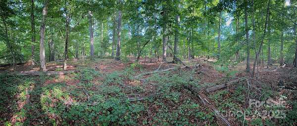 6.38 Acres of Agricultural Land for Sale in Smyrna, South Carolina