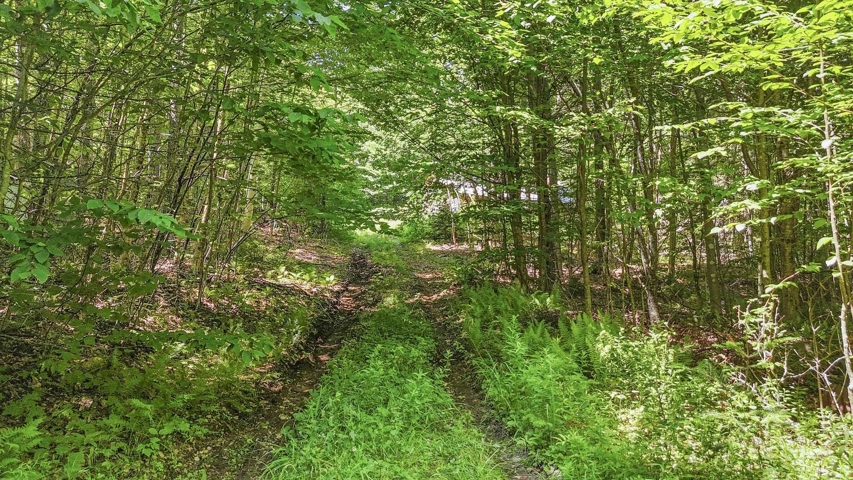 50 Acres of Recreational Land for Sale in Lake Placid, New York