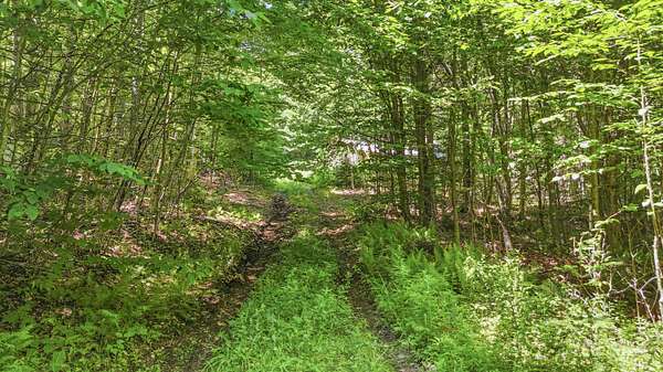 50 Acres of Recreational Land for Sale in Lake Placid, New York