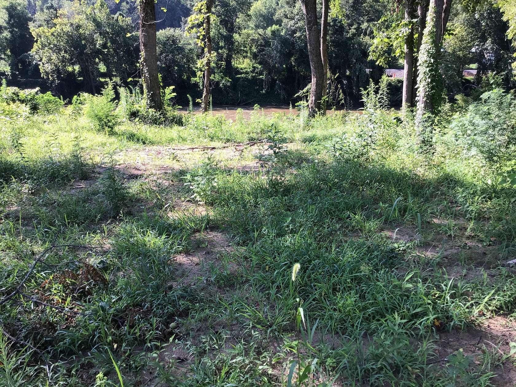 1.42 Acres of Residential Land for Sale in Del Rio, Tennessee