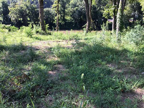 1.42 Acres of Residential Land for Sale in Del Rio, Tennessee